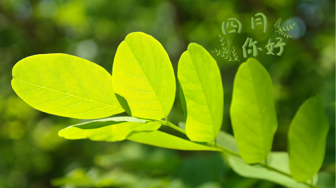 你好！4月