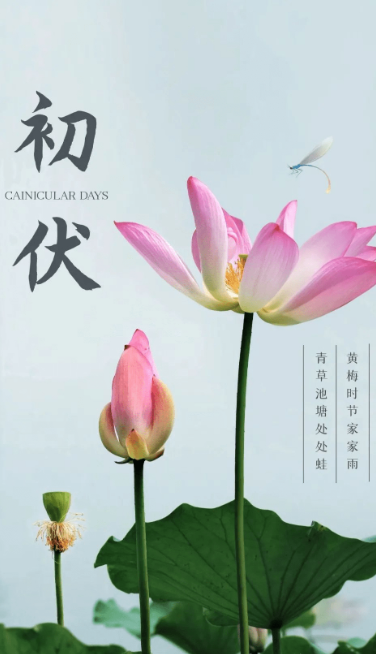 熱、熱、熱！入伏中……